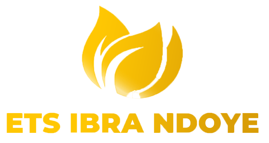 ETS IBRA NDOYE - Cosmétiques Premium